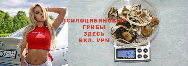 сатива Семёнов