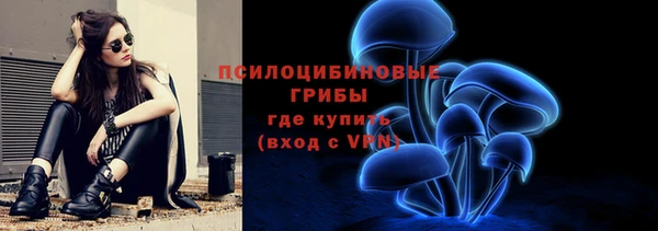 ПСИЛОЦИБИНОВЫЕ ГРИБЫ Алзамай