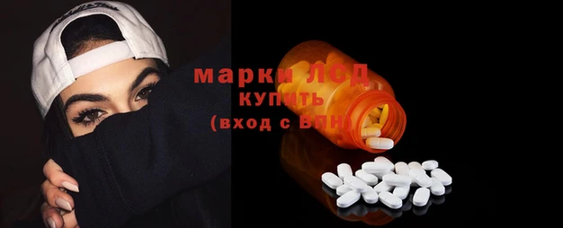 стафф Аркадак