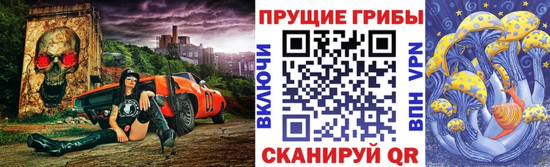 Псилоцибиновые грибы Psilocybine cubensis  Тулун 